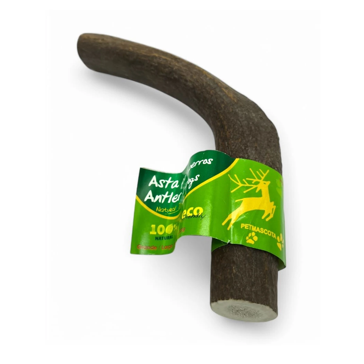 Asta de Ciervo Antlers L 151