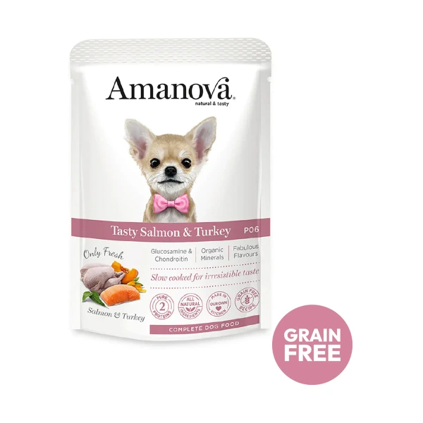 P06 Pouch Dog Tasty Salmon & Turkey 100