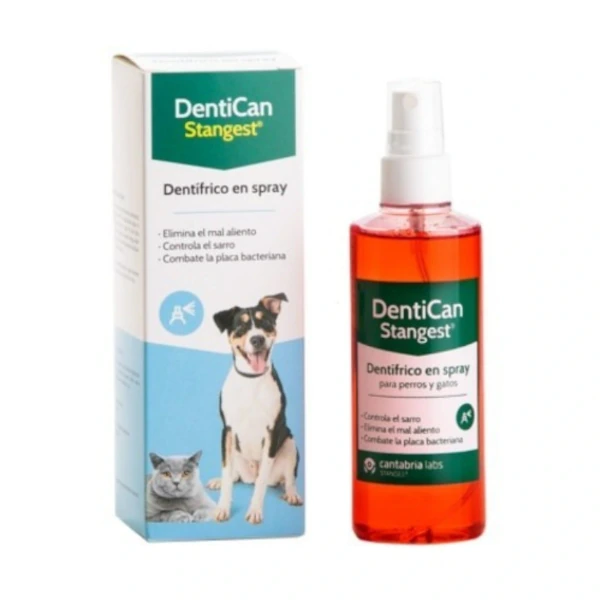 [01312001] Dentican Spray 125ml·