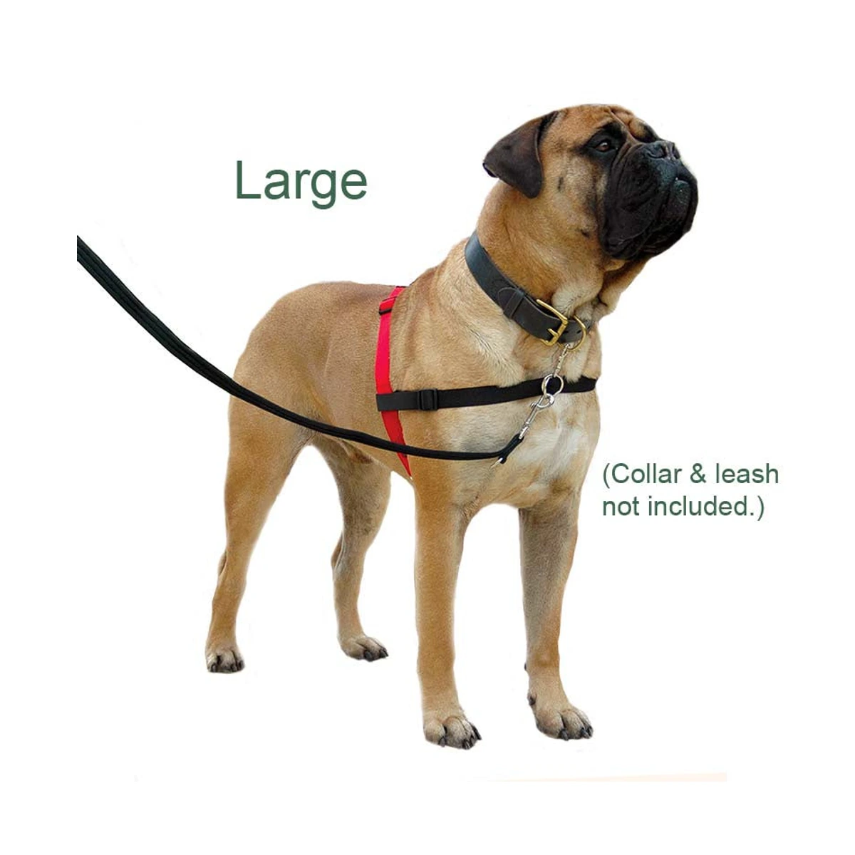 Halti Harness Large