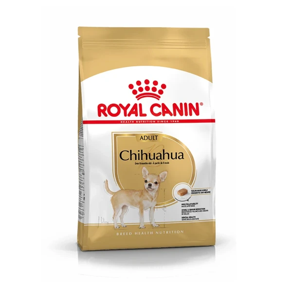 Royal Breed Chihuahua