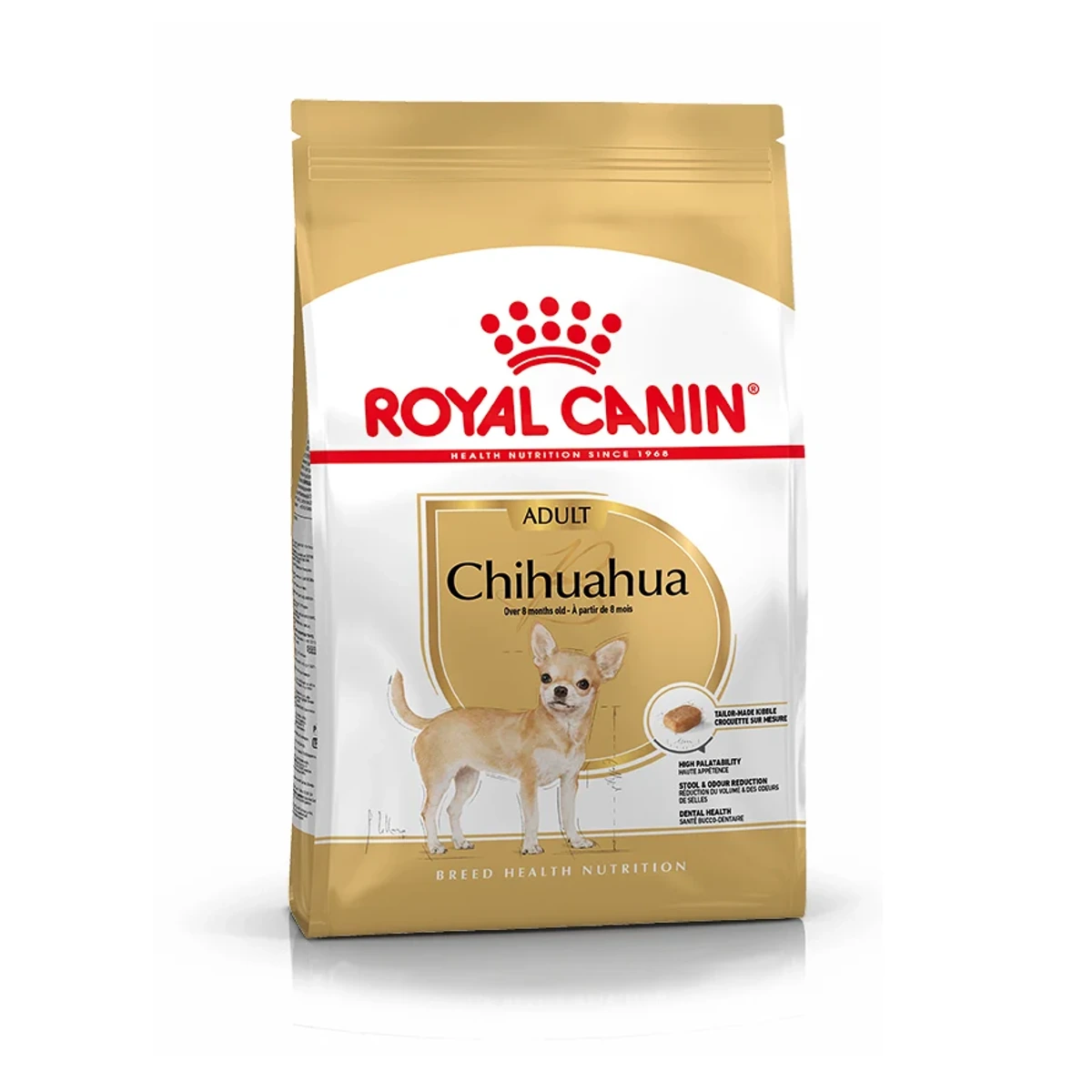 Royal Breed Chihuahua