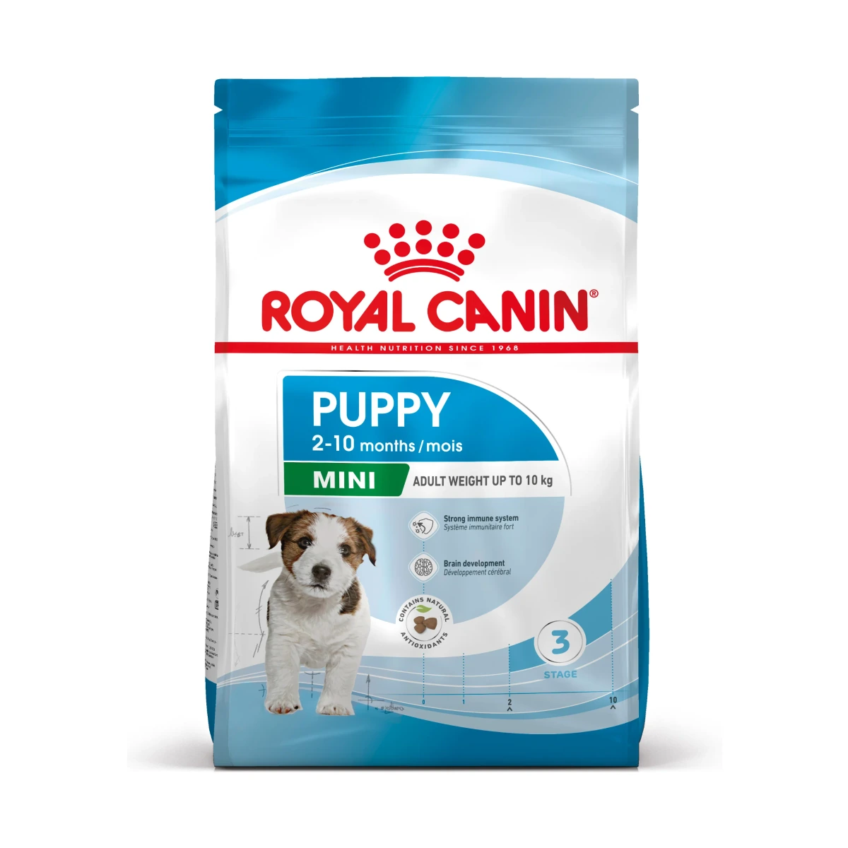 Royal Mini Puppy