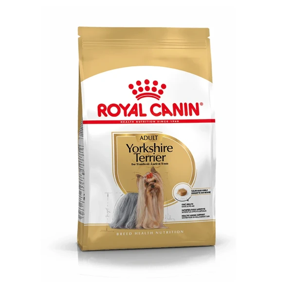 Royal Breed Yorkshire Terrier